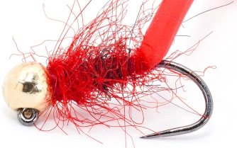 Mixed body Mixed body