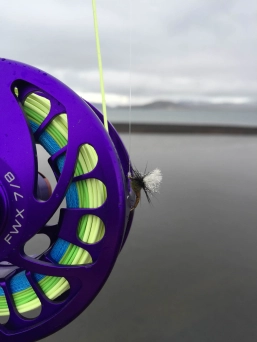 A Klinkhåmer A Klinkhåmer