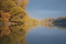 User submitted picture: Silent dream