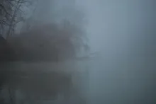 User submitted picture: Fog int the River