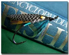 User submitted picture: The Big Blue - Teal Blue ...