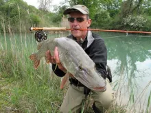 User submitted picture: Pike of a day , nice one ...