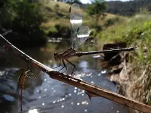 User submitted picture: Like ancient guardians, I...