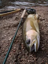 User submitted picture: Winter Rainbow