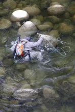 User submitted picture: Slippery when wet