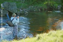 User submitted picture: Karkonosze mountain fly f...