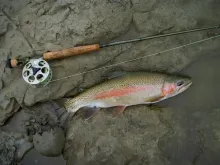 User submitted picture: beautiful colored rainbow...