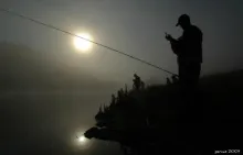 User submitted picture: ...,,Edward Scissorhands,...