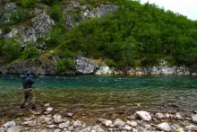 User submitted picture: Fight