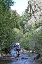 User submitted picture: Negotiating a small strea...