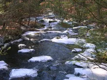 User submitted picture: Small Stream Winter Fishi...