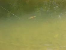 User submitted picture: Little chubby on the righ...