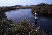 User submitted picture: Ripley Davenport casting ...