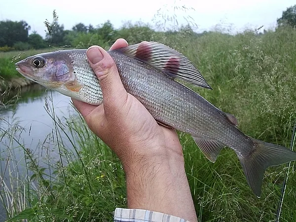 User submitted picture: Your comment here...