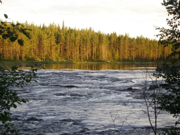 User submitted picture: Picture from The Gimriver...