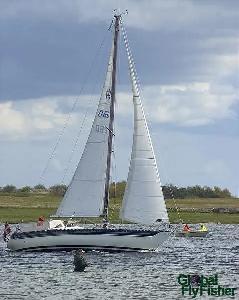 User submitted picture: Summerfishing in a Danish...